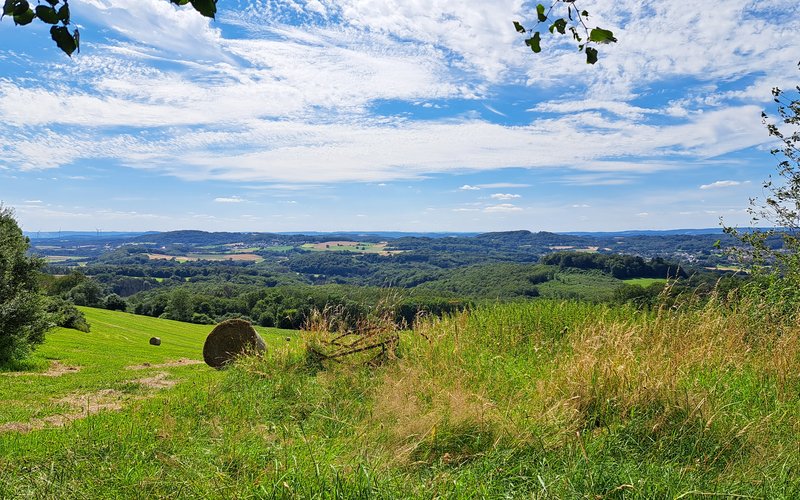 Weitblick ins Tal mit grünen Bäumen und Feldern. Der Himmel ist blau mit Schleierwolken.