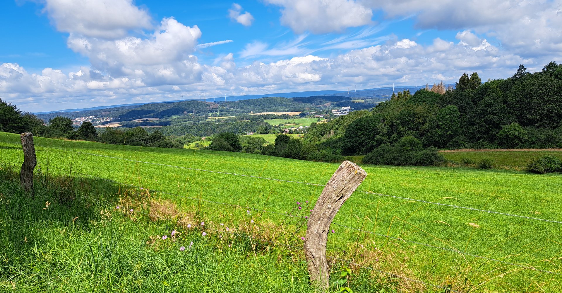 Im Vordergrund ist ein Zaunpfahl aus Holz zu sehen. Dahinter liegt eine grüne Wiese mit Weitblick in die Landschaft.